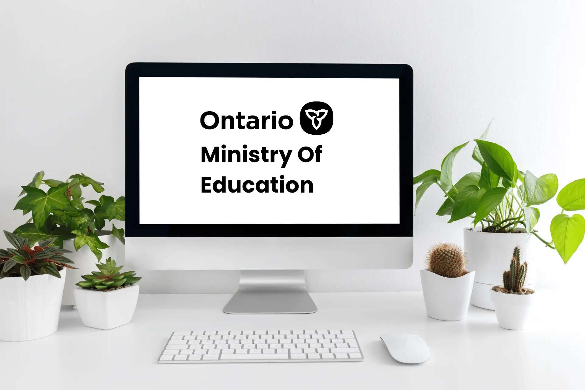 News from the Ministry of Education